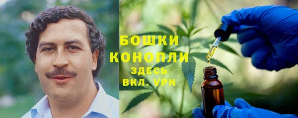 apvp Аркадак