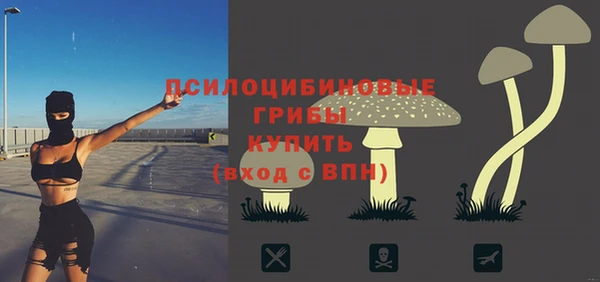 mix Арсеньев