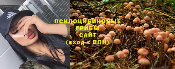 мяу мяу мука Армянск