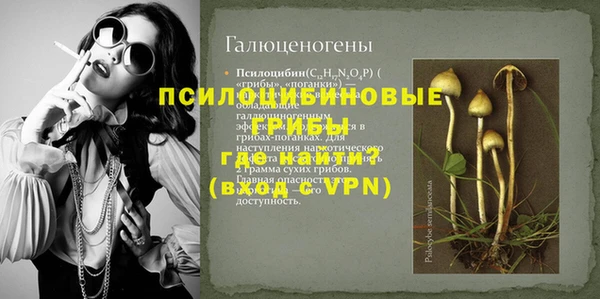 apvp Аркадак